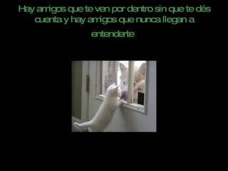 Hay amigos que te ven por dentro sin que te dés cuenta y hay amigos que nunca llegan a entenderte   