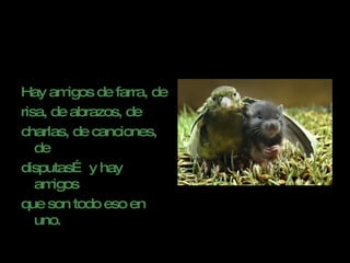 Hay amigos de farra, de  risa, de abrazos, de  charlas, de canciones, de  disputas… y hay amigos  que son todo eso en uno. 