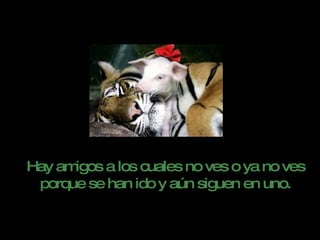 Hay amigos a los cuales no ves o ya no ves porque se han ido y aún siguen en uno. 