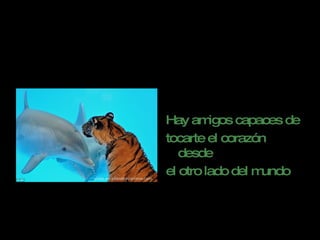 Hay amigos capaces de  tocarte el corazón desde  el otro lado del mundo 