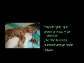 Hay amigos  que creen en vos, y te alientan y te dan fuerzas aunque vos ya no lo  hagas 