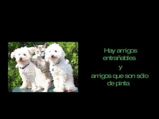 Hay amigos entrañables y amigos que son sólo de pinta   