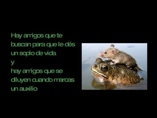 Hay amigos que te buscan para que le dés  un soplo de vida  y  hay amigos que se  diluyen cuando marcas  un auxilio   