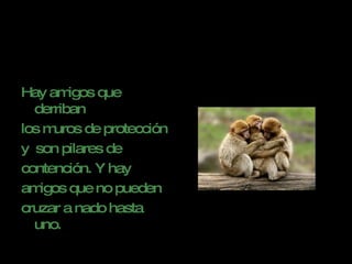 Hay amigos que derriban los muros de protección  y  son pilares de  contención. Y hay  amigos que no pueden  cruzar a nado hasta uno. 