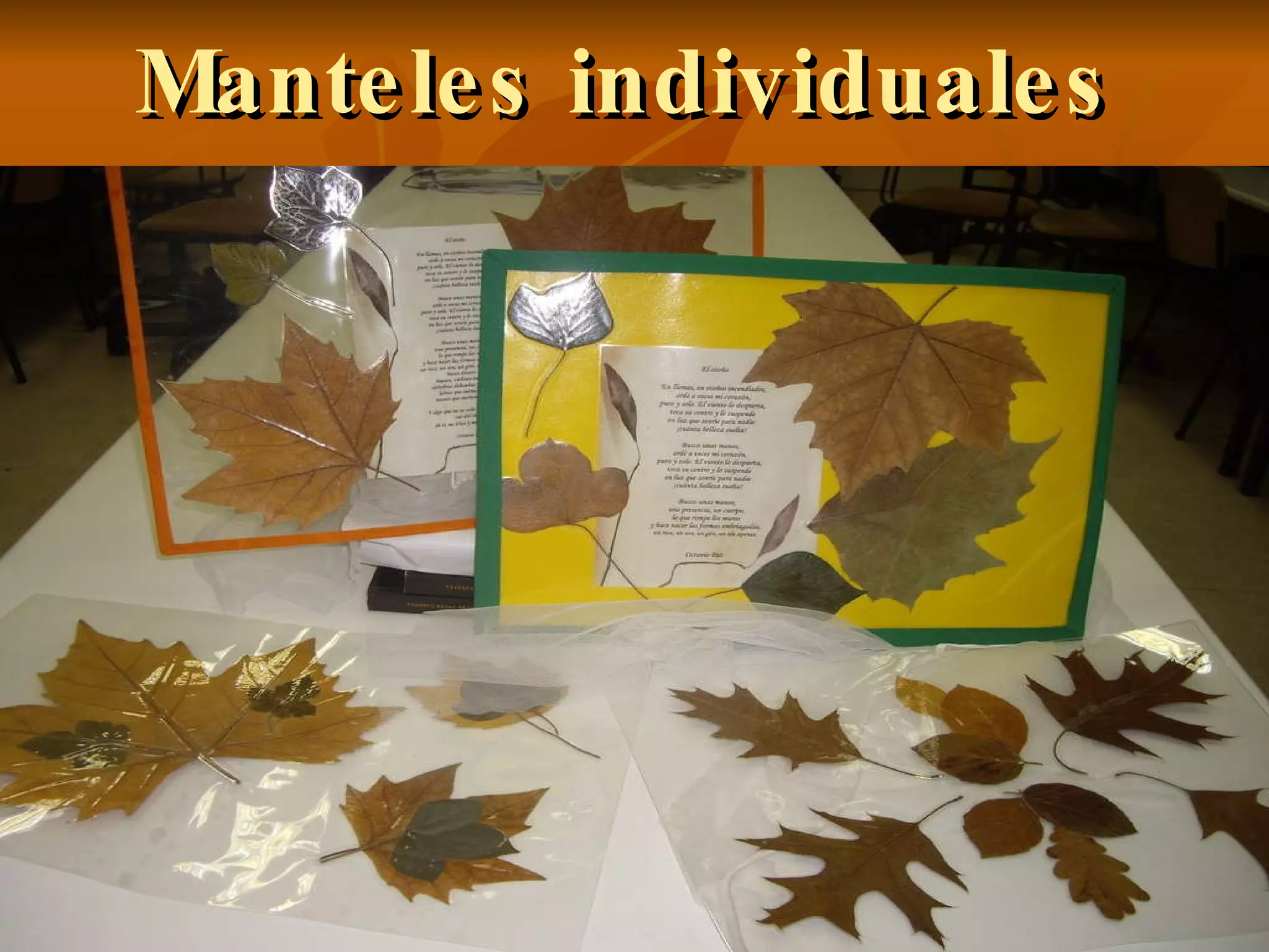 Manteles individuales 