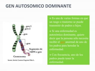   Es una de varias formas en que
un rasgo o trastorno se puede
transmitir de padres a hijos.
 Si una enfermedad es
autosómica dominante, quiere
decir que la persona sólo necesita
recibir el gen anormal de uno de
los padres para heredar la
enfermedad.
 Con frecuencia, uno de los
padres puede tener la
enfermedad.
 