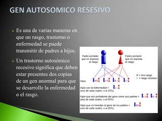    Es una de varias maneras en
    que un rasgo, trastorno o
    enfermedad se puede
    transmitir de padres a hijos.
   Un trastorno autosómico
    recesivo significa que deben
    estar presentes dos copias
    de un gen anormal para que
    se desarrolle la enfermedad
    o el rasgo.
 