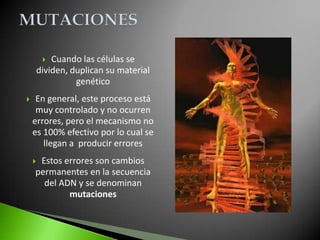   Cuando las células se
        dividen, duplican su material
                  genético
    En general, este proceso está
     muy controlado y no ocurren
    errores, pero el mecanismo no
    es 100% efectivo por lo cual se
       llegan a producir errores
    Estos errores son cambios
    permanentes en la secuencia
      del ADN y se denominan
            mutaciones
 