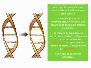  Las mutaciones son espontáneas
   pero hay ciertos agentes que
 aumentan la probabilidad de que
          estas ocurran.
         No todas provocan
            
 enfermedades, sólo ocurrirá si el
 gen afectado origina una proteína
            modificada.
    La mayoría de las mutaciones
    
afectan secuencias no codificantes o
      no provocan cambios en
   aminoácidos de la proteína o el
 cambio no afecta una región clave
          del polipéptido.
           Entonces se denominan
                silenciosas.
 