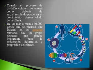    Cuando el proceso de
    división celular no ocurre
    como          debería      de
    ser, el resultado puede ser el
    crecimiento descontrolado
    de la célula.
   De los más o menos 30,000
    genes que se piensan que
    existen en el genoma
    humano, hay un grupo
    pequeño        que     parece
    importante        para      la
    prevención, desarrollo, y
    progresión del cáncer.
 