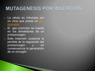    La célula es infectada por
    un virus que posee un gen
    promotor.
   El gen promotor se inserta
    en los alrededores de un
    protooncogen.
   Esta inserción ocasiona la
    pérdida de la regulación del
    protooncogen       y     en
    consecuencia la generación
    de un oncogén.
 