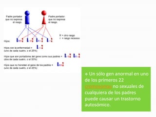  Un sólo gen anormal en uno
de los primeros 22
cromosomas no sexuales de
cualquiera de los padres
puede causar un trastorno
autosómico.
 