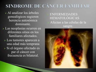  Al analizar los árboles      ENFERMEDADES
    genealógicos sugieren        HEMATOLÓGICAS
     herencia autosómica
                                Afectan a las células de la
          dominante.
                                          sangre.
 Las neoplasias ocurren en
    diferentes sitios en los
     familiares afectados.
  Los tumores aparecen a
   una edad más temprana
  Si el órgano afectado es
       par el cáncer con
   frecuencia es bilateral.
 