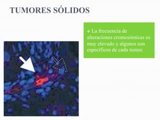  La frecuencia de
alteraciones cromosómicas es
muy elevado y algunos son
específicos de cada tumor.
 