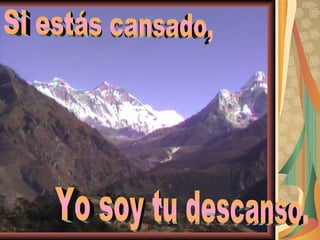 Si estás cansado, Yo soy tu descanso. 