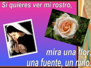 Si quieres ver mi rostro, mira una flor,  una fuente, un niño. 