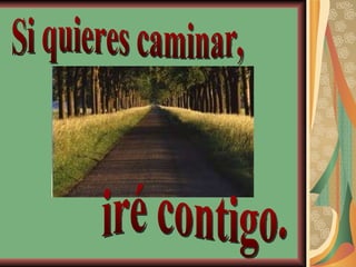 Si quieres caminar, iré contigo. 