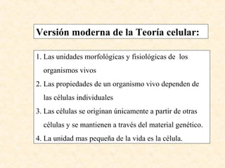 1. Las unidades morfológicas y fisiológicas de los
organismos vivos
2. Las propiedades de un organismo vivo dependen de
las células individuales
3. Las células se originan únicamente a partir de otras
células y se mantienen a través del material genético.
4. La unidad mas pequeña de la vida es la célula.
Versión moderna de la Teoría celular:
 