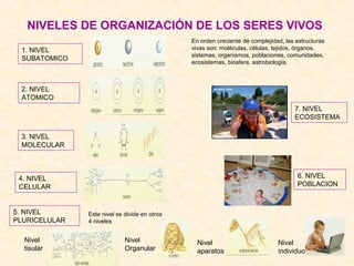 NIVELES DE ORGANIZACIÓN DE LOS SERES VIVOS
1. NIVEL
SUBATOMICO
2. NIVEL
ATOMICO
3. NIVEL
MOLECULAR
4. NIVEL
CELULAR
5. NIVEL
PLURICELULAR
Este nivel se divide en otros
4 niveles
Nivel
tisular
Nivel
Organular
Nivel
aparatos
Nivel
individuo
6. NIVEL
POBLACION
7. NIVEL
ECOSISTEMA
En orden creciente de complejidad, las estructuras
vivas son: moléculas, células, tejidos, órganos,
sistemas, organismos, poblaciones, comunidades,
ecosistemas, biosfera, astrobiología.
 