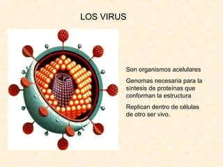 Son organismos acelulares
Genomas necesaria para la
síntesis de proteínas que
conforman la estructura
Replican dentro de células
de otro ser vivo.
LOS VIRUS
 