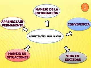 programa de competencias 2009