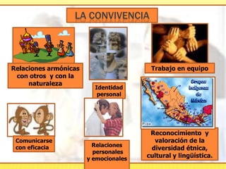 programa de competencias 2009