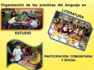 programa de competencias 2009