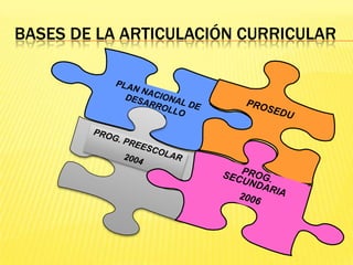 programa de competencias 2009