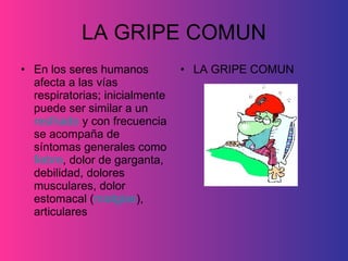 LA GRIPE COMUN En los seres humanos afecta a las vías respiratorias; inicialmente puede ser similar a un  resfriado  y con frecuencia se acompaña de síntomas generales como  fiebre , dolor de garganta, debilidad, dolores musculares, dolor estomacal ( mialgias ), articulares  LA GRIPE COMUN 