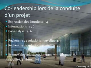 Co-leadership lors de la conduite d’un projet<br />Expression des émotions  ; 4<br />Informations   1 ; 6<br />Pré-analyse...