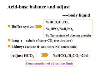 Compensation of adjust has limit Acid-base balance and adjust ----body liquid Buffer system lung  ： exhale of store CO 2  (respiratory) kidney:  exclude H +  and store Na +  (metabolic) NaHCO 3 /H 2 CO 3 Na 2 HPO 4 /NaH 2 PO 4 Buffer system of plasma protein Adjust   HCO 3 -   NaHCO 3 /H 2 CO 3 =20:1 