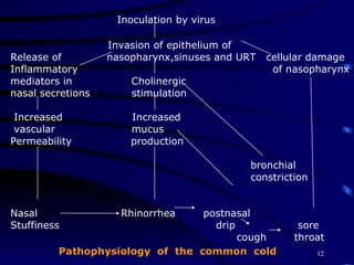 Inoculation by virus Invasion of epithelium of Release of  nasopharynx,sinuses and URT  cellular damage Inflammatory  of nasopharynx mediators in  Cholinergic nasal secretions  stimulation Increased  Increased  vascular  mucus Permeability  production  bronchial  constriction Nasal  Rhinorrhea  postnasal Stuffiness  drip  sore cough  throat  Pathophysiology  of  the  common  cold 