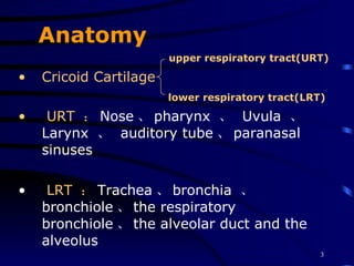 Anatomy upper respiratory tract(URT) Cricoid Cartilage lower   respiratory tract(LRT) URT  ： Nose 、 pharynx  、  Uvula  、  Larynx  、  auditory tube 、 paranasal sinuses LRT  ： Trachea 、 bronchia  、 bronchiole 、 the respiratory bronchiole 、 the alveolar duct and the alveolus 