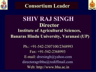 Consortium Leader SHIV RAJ SINGH   Director  Institute of Agricultural Sciences,  Banaras Hindu University, Varanasi (UP) Ph.: +91-542-2307100/2368993 Fax: +91-542-2368993  E-mail:  [email_address] [email_address]   Web:  http://www.bhu.ac.in 