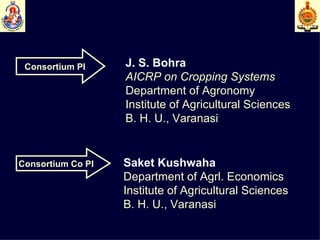 Consortium PI J. S. Bohra AICRP on Cropping Systems Department of Agronomy Institute of Agricultural Sciences B. H. U., Varanasi   Consortium Co PI   Saket Kushwaha Department of Agrl. Economics Institute of Agricultural Sciences B. H. U., Varanasi   