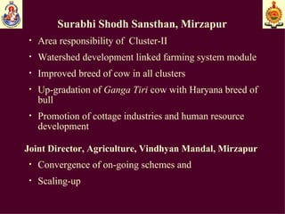 Surabhi Shodh Sansthan, Mirzapur Area responsibility of  Cluster-II Watershed development linked farming system module Improved breed of cow in all clusters  Up-gradation of  Ganga Tiri  cow with Haryana breed of bull Promotion of cottage industries and human resource development Joint Director, Agriculture, Vindhyan Mandal, Mirzapur  Convergence of on-going schemes and   Scaling-up 