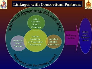 Linkages with Consortium Partners   Banwasi  Sewa  Ashram Indian  Institute  of Vegetable  Research  Surabhi  Sodh  Sansthan Rajiv  Gandhi  South  Campus Institute of Agricultural Sciences, BHU Project Monitoring and Evaluation  Follow-up   action State  Agri.  Depart- ment Banwasi  Sewa  Ashram Indian  Institute  of Vegetable  Research  Surabhi  Shodh  Sansthan Rajiv  Gandhi  South  Campus Institute of Agricultural Sciences, BHU Project Monitoring and Evaluation  