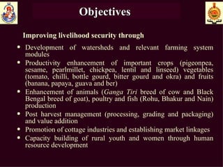Objectives   Improving livelihood security through Development of watersheds and relevant farming system modules Productivity enhancement of important crops (pigeonpea, sesame, pearlmillet, chickpea, lentil and linseed) vegetables (tomato, chilli, bottle gourd, bitter gourd and okra) and fruits (banana, papaya, guava and ber) Enhancement of animals ( Ganga Tiri  breed of cow and Black Bengal breed of goat), poultry and fish (Rohu, Bhakur and Nain) production Post harvest management (processing, grading and packaging) and value addition Promotion of cottage industries and establishing market linkages Capacity building of rural youth and women through human resource development  