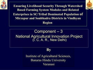 Ensuring Livelihood Security Through Watershed Based Farming System Modules and Related Enterprises in SC/Tribal Dominated Population  of  Mirzapur and Sonbhadra Districts in Vindhyan Region   By Institute of Agricultural Sciences,  Banaras Hindu University  Varanasi Component – 3  National Agricultural Innovation Project (I. C. A. R., New Delhi) 