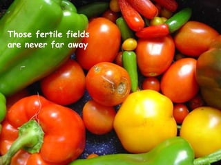 Those fertile fields  are never far away 