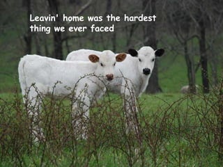 Leavin' home was the hardest  thing we ever faced 