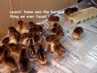 Leavin' home was the hardest thing we ever faced   