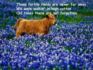 Those fertile fields are never far away We were walkin' in high cotton Old times there are not forgotten   