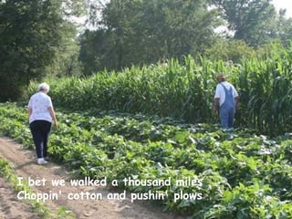 I bet we walked a thousand miles Choppin' cotton and pushin' plows   