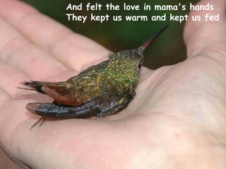 And felt the love in mama's hands They kept us warm and kept us fed   