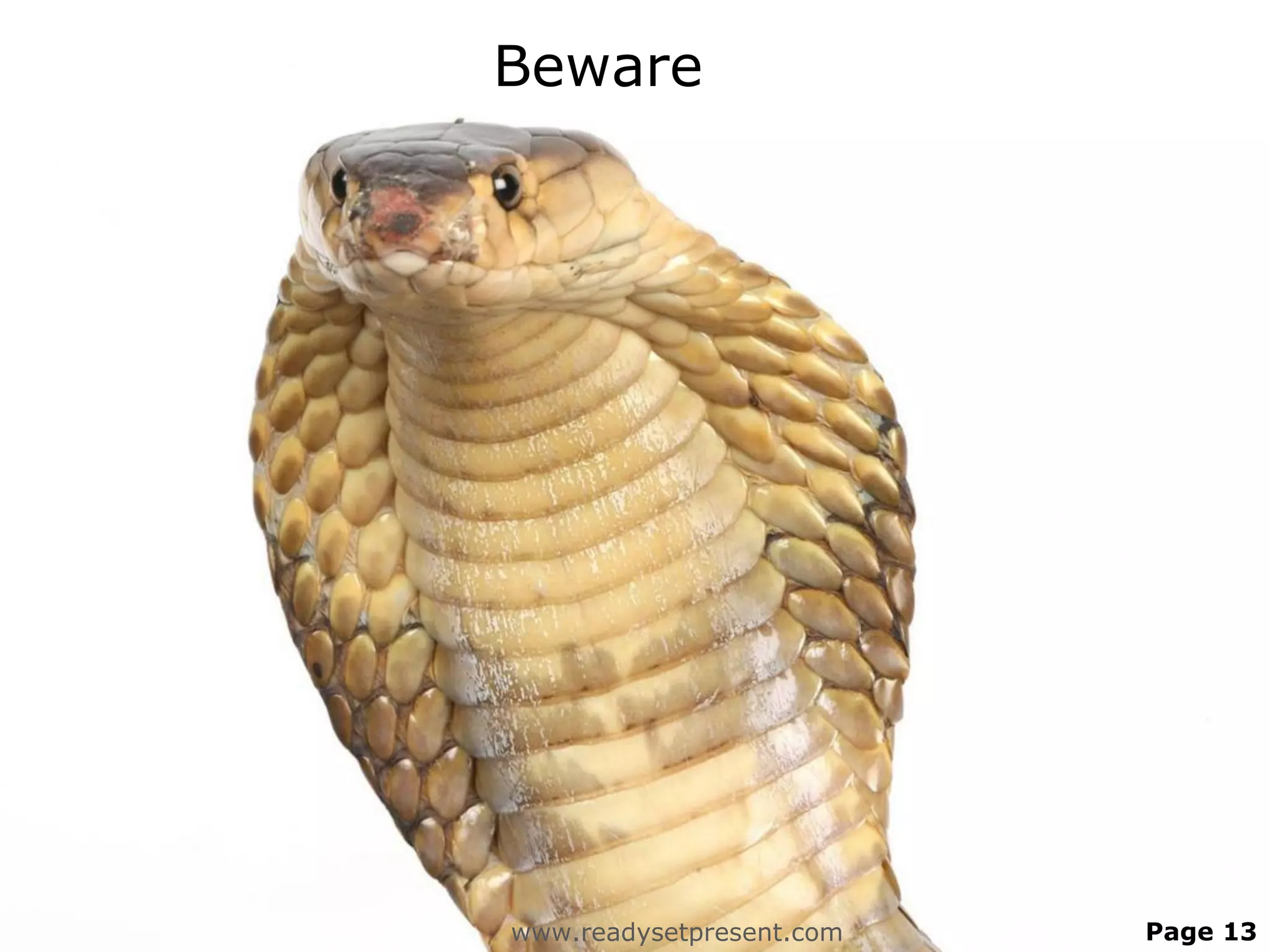Beware




www.readysetpresent.com   Page 13
 