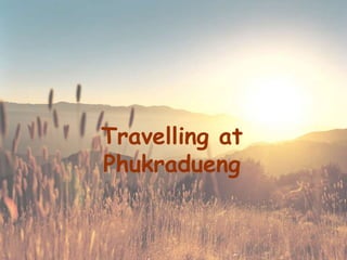 Travelling at Phukradueng 