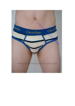wholesale underwear--- Calvin Klein 365 brief