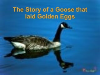 The Story of a Goose that
    laid Golden Eggs
 