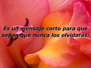 Es un mensaje corto para queEs un mensaje corto para que
sepan que nunca los olvidarás.sepan que nunca los olvidarás.
 